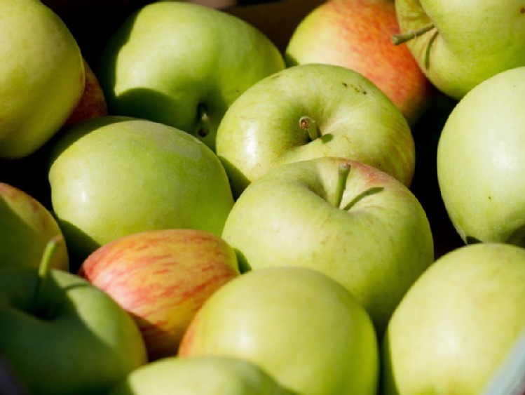 Jurgiel liczy, że część jabłek z nowych zbiorów wyeksportujemy do USA